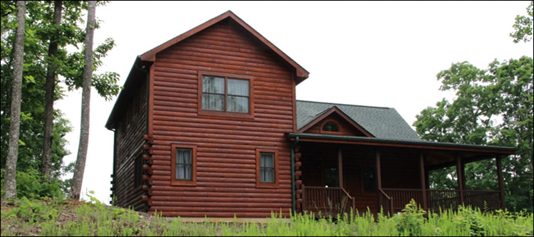 Professional Log Home Borate Application  Fluvanna County, Virginia